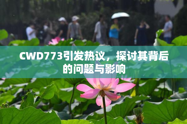 CWD773引发热议，探讨其背后的问题与影响