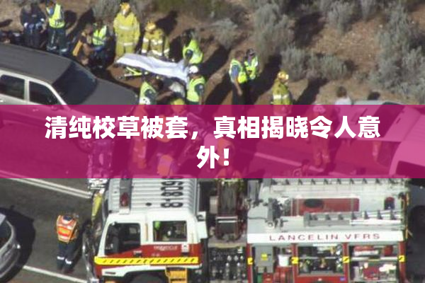 清纯校草被套，真相揭晓令人意外！
