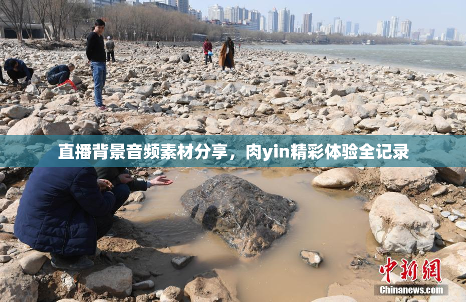 直播背景音频素材分享，肉yin精彩体验全记录