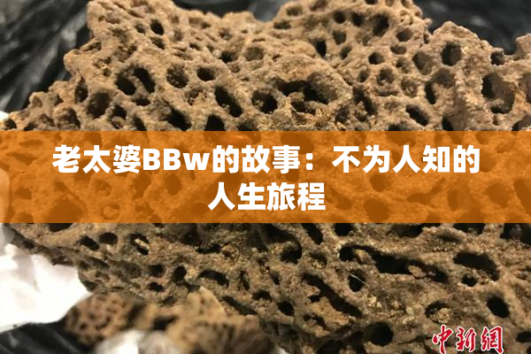老太婆BBw的故事：不为人知的人生旅程