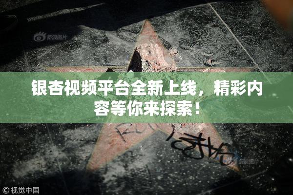 银杏视频平台全新上线，精彩内容等你来探索！