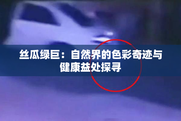 丝瓜绿巨：自然界的色彩奇迹与健康益处探寻