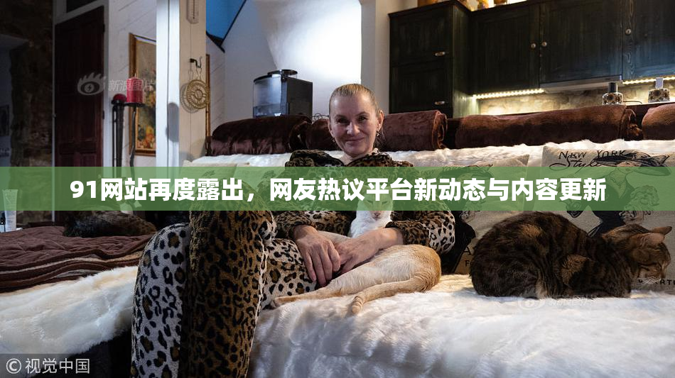 91网站再度露出，网友热议平台新动态与内容更新