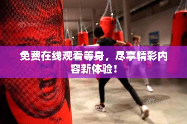 免费在线观看等身，尽享精彩内容新体验！