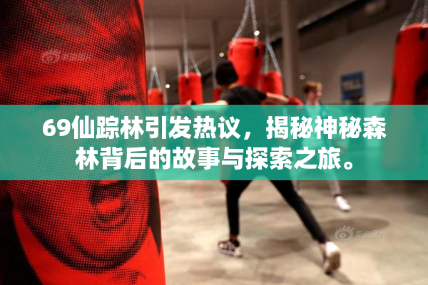 69仙踪林引发热议，揭秘神秘森林背后的故事与探索之旅。