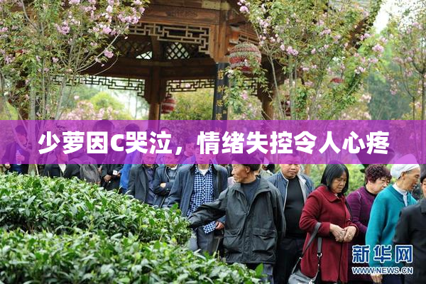 少萝因C哭泣，情绪失控令人心疼