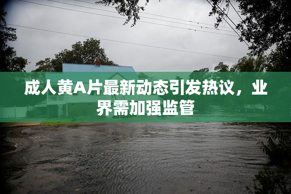 成人黄A片最新动态引发热议，业界需加强监管