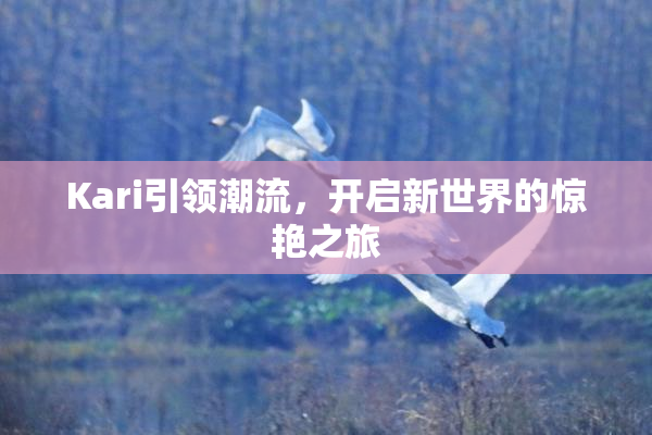 Kari引领潮流，开启新世界的惊艳之旅