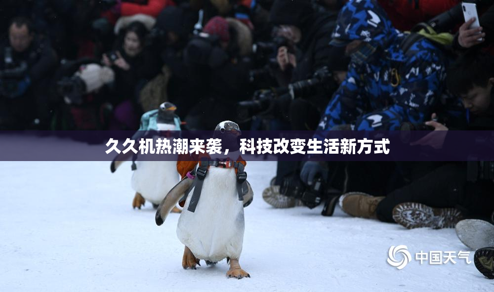 久久机热潮来袭，科技改变生活新方式
