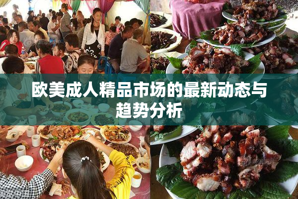欧美成人精品市场的最新动态与趋势分析