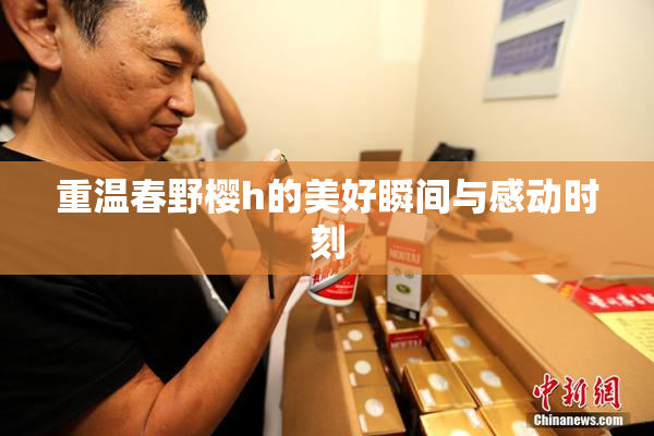 重温春野樱h的美好瞬间与感动时刻