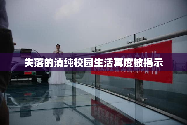 失落的清纯校园生活再度被揭示