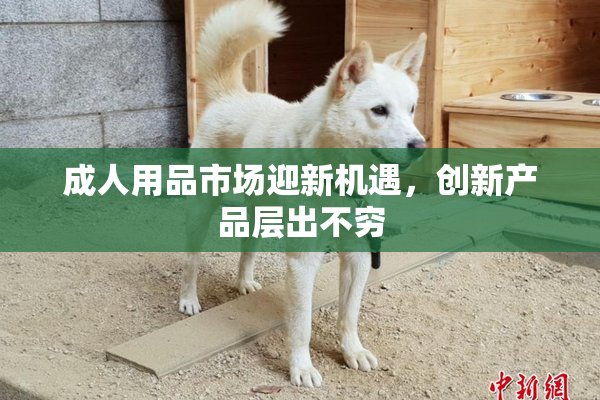 成人用品市场迎新机遇，创新产品层出不穷