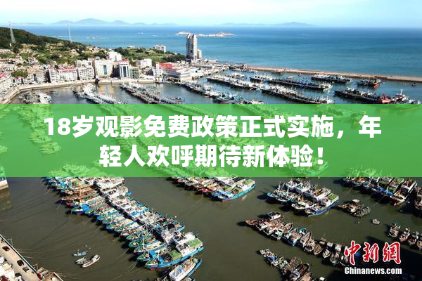 18岁观影免费政策正式实施，年轻人欢呼期待新体验！
