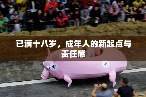已满十八岁，成年人的新起点与责任感