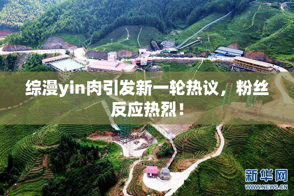 综漫yin肉引发新一轮热议，粉丝反应热烈！