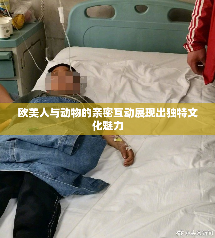 欧美人与动物的亲密互动展现出独特文化魅力