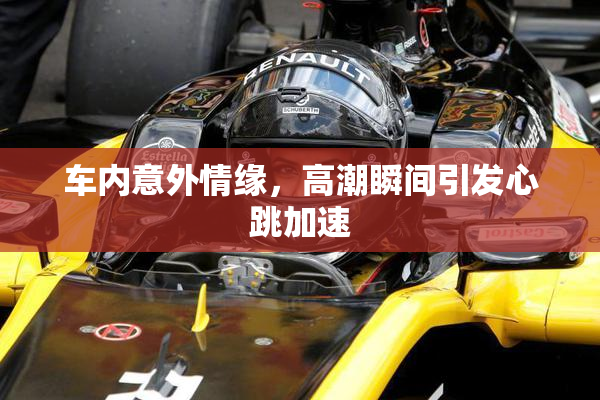 车内意外情缘，高潮瞬间引发心跳加速