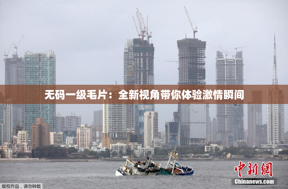 无码一级毛片：全新视角带你体验激情瞬间