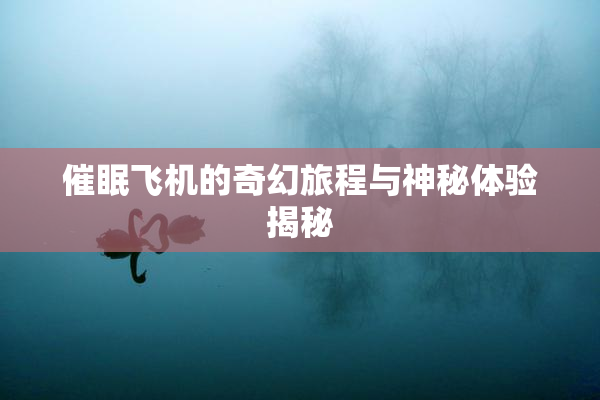 催眠飞机的奇幻旅程与神秘体验揭秘