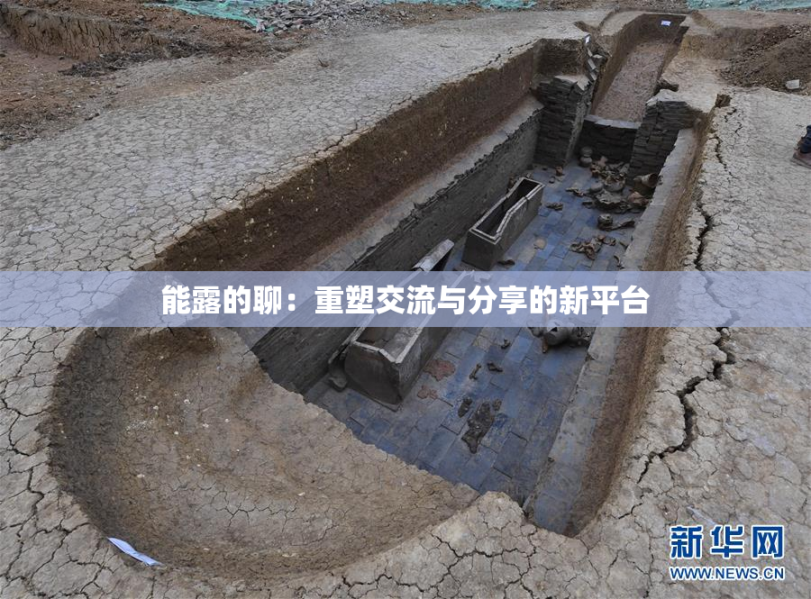 能露的聊：重塑交流与分享的新平台