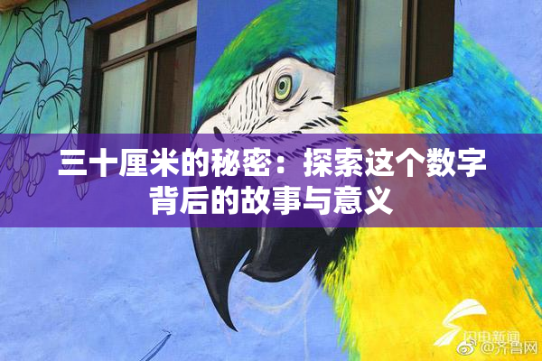 三十厘米的秘密：探索这个数字背后的故事与意义