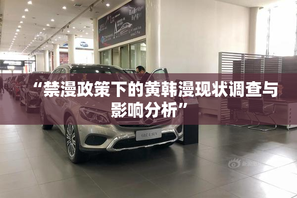 “禁漫政策下的黄韩漫现状调查与影响分析”