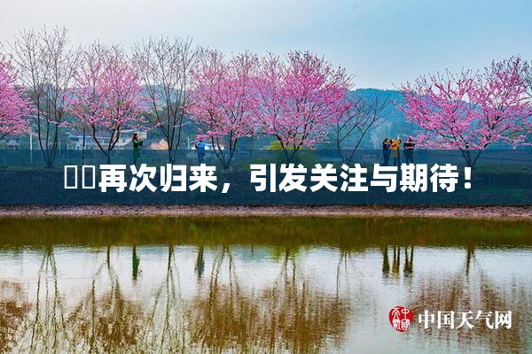 妺妺再次归来，引发关注与期待！