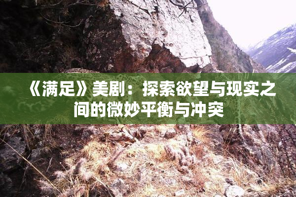 《满足》美剧：探索欲望与现实之间的微妙平衡与冲突