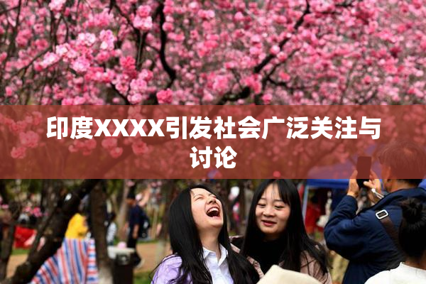 印度XXXX引发社会广泛关注与讨论