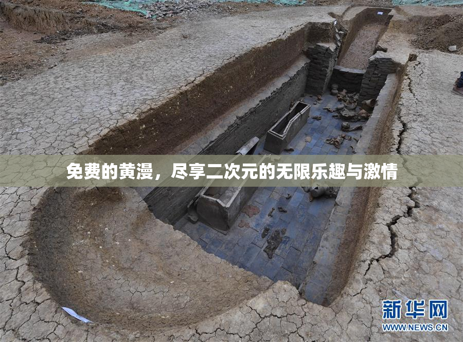免费的黄漫，尽享二次元的无限乐趣与激情