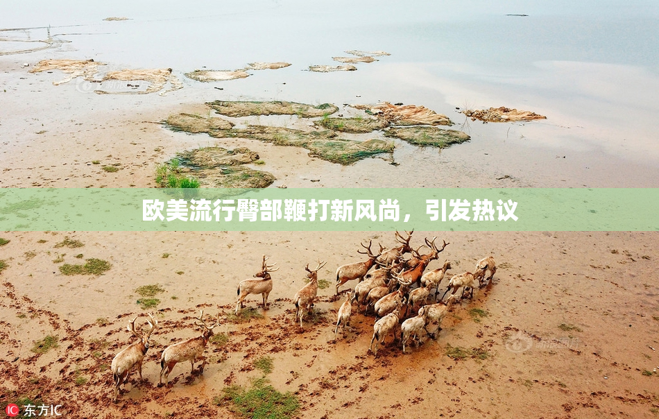 欧美流行臀部鞭打新风尚，引发热议