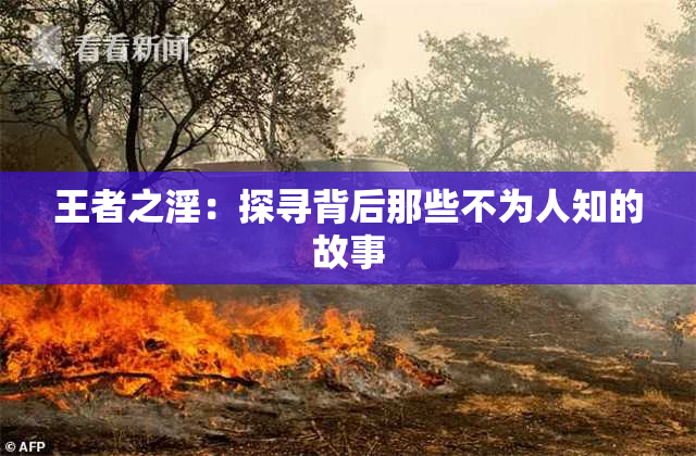 王者之淫：探寻背后那些不为人知的故事
