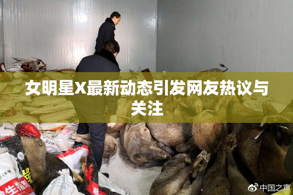 女明星X最新动态引发网友热议与关注