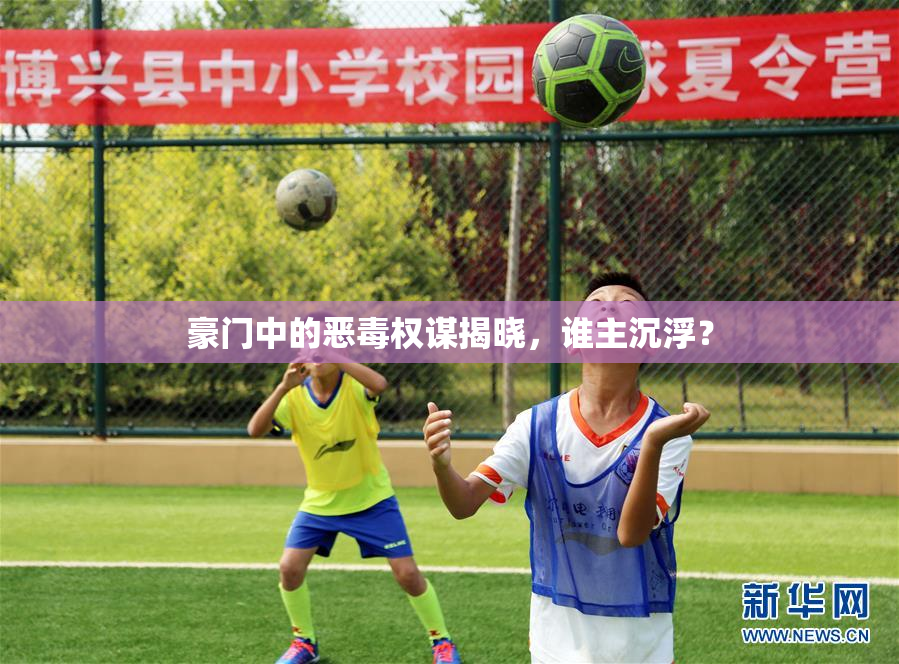 豪门中的恶毒权谋揭晓，谁主沉浮？