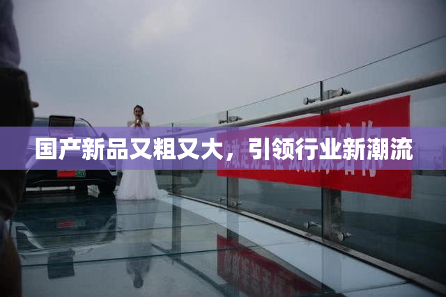 国产新品又粗又大，引领行业新潮流