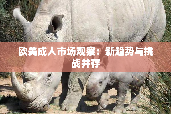 欧美成人市场观察：新趋势与挑战并存