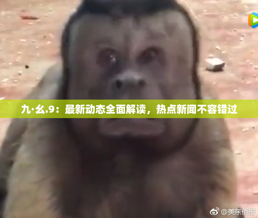 九·幺.9：最新动态全面解读，热点新闻不容错过
