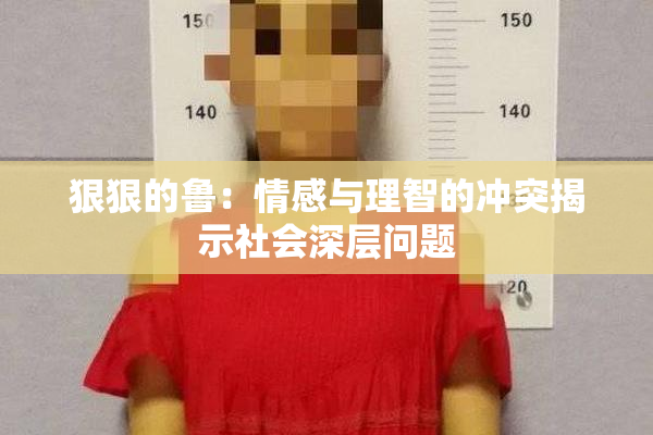 狠狠的鲁：情感与理智的冲突揭示社会深层问题
