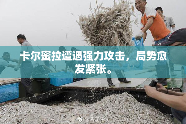 卡尔蜜拉遭遇强力攻击，局势愈发紧张。