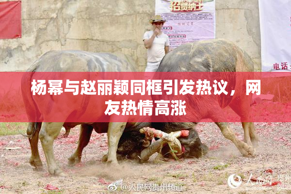 杨幂与赵丽颖同框引发热议，网友热情高涨