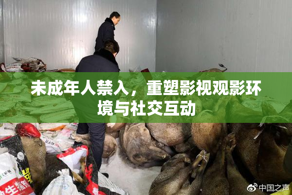 未成年人禁入，重塑影视观影环境与社交互动
