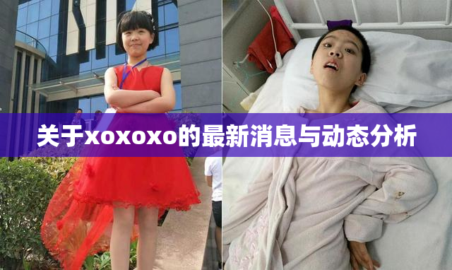 关于xoxoxo的最新消息与动态分析