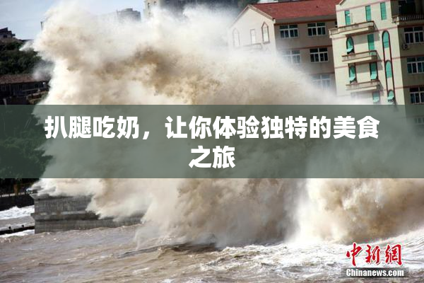 扒腿吃奶，让你体验独特的美食之旅