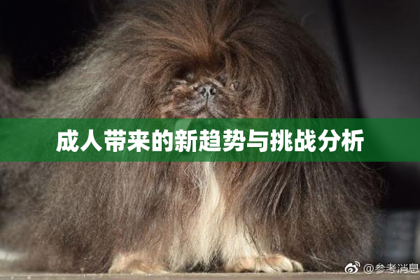 成人带来的新趋势与挑战分析