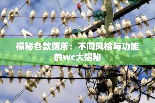 探秘各款厕所：不同风格与功能的wc大揭秘