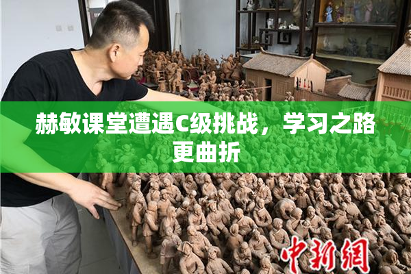 赫敏课堂遭遇C级挑战，学习之路更曲折