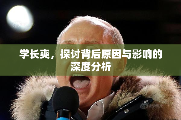 学长爽，探讨背后原因与影响的深度分析
