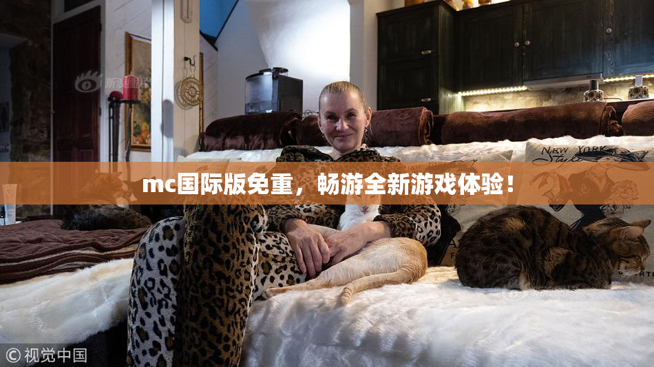 mc国际版免重，畅游全新游戏体验！