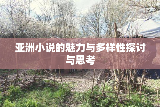 亚洲小说的魅力与多样性探讨与思考